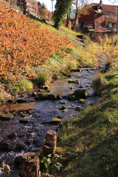 Impressions from Bad Herrenalb in the Black Forest