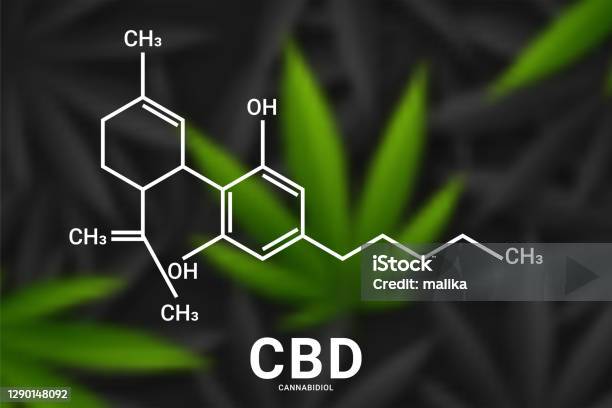 Cbd Formula Cannabidiol Molecule Structure Compound Stock Illustration ...