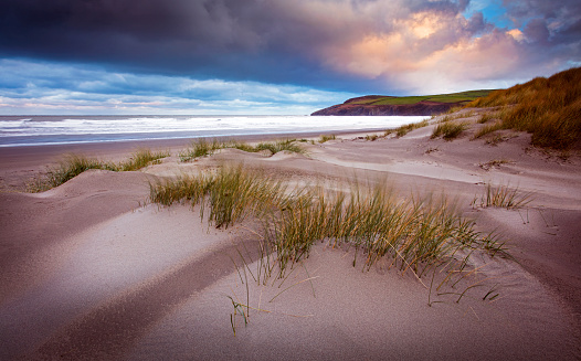 Wooden fence in the sand dunes protecting the plants in the area.