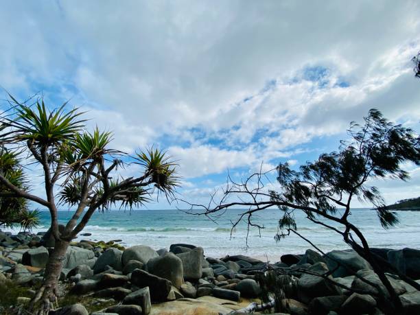 istock Tea Tree Bay Landscape - Noosa Heads National Park 1290160150