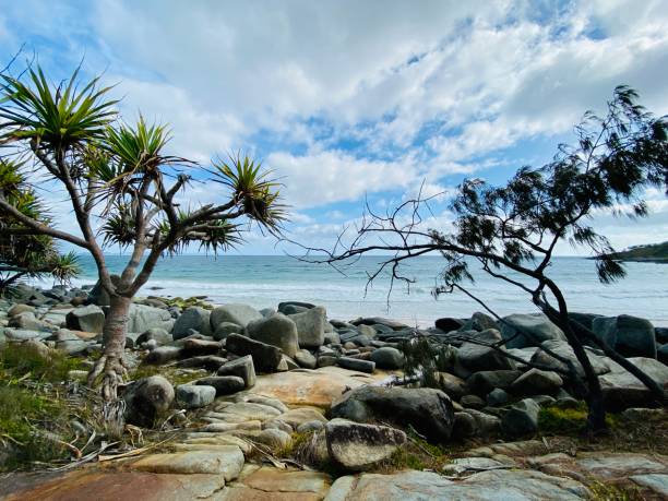 istock Tea Tree Bay Landscape - Noosa Heads National Park 1290160157