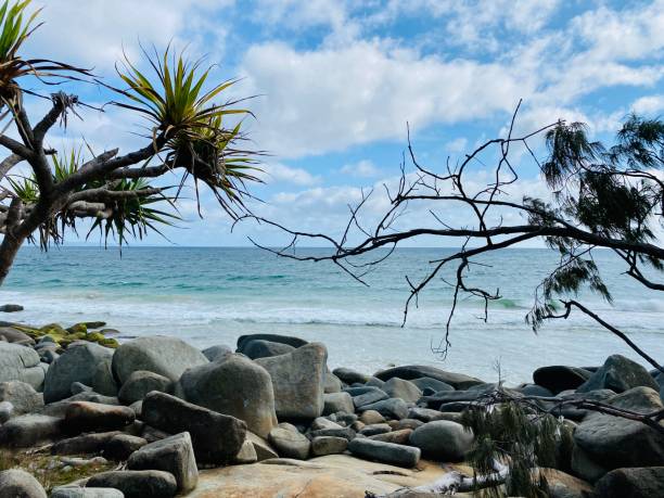 istock Dolphin Point - Noosa Heads National Park 1290160206