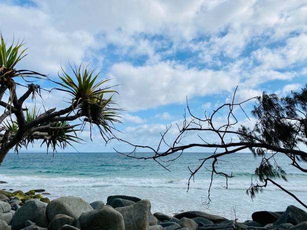istock Tea Tree Bay - Noosa Heads National Park 1290160681