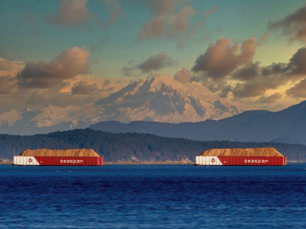Cargo ships near Sidney stock photo