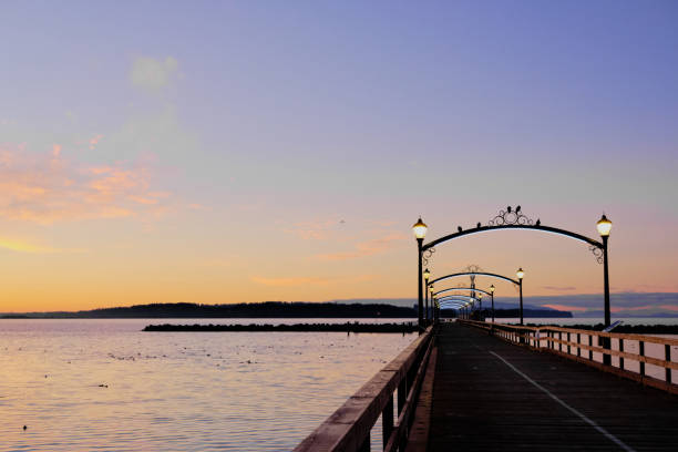 istock Five birds perch on arch of White Rock's pier, BC 1290164174