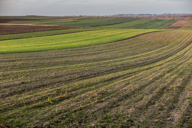 istock Landscape with visible farmland in the fall 1290164313