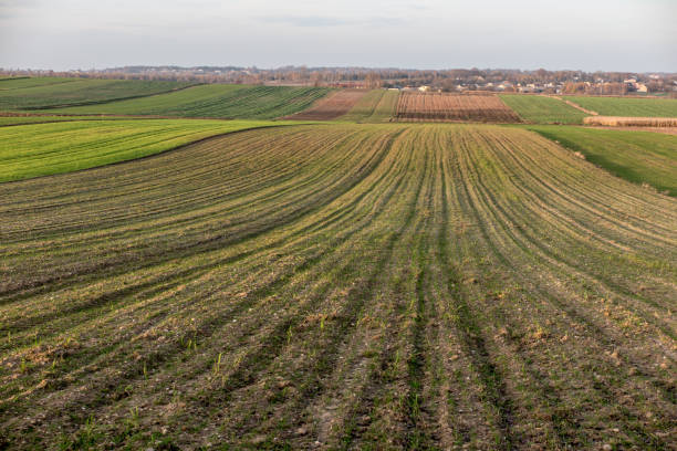 istock Landscape with visible farmland in the fall 1290164337