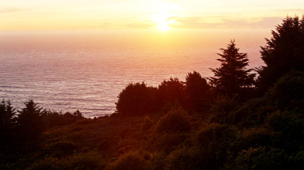 istock Silhouetted Trees and Colorful Sunset Over the Ocean 1290165611