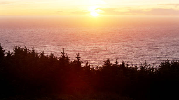 Aerial view of the spectacular coastline to the north of Brookings, Oregon.