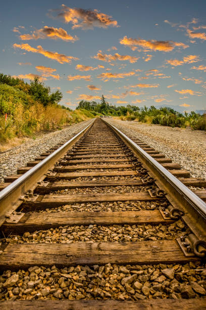 istock Straight Railroad Tracks at Dusk 1290165764