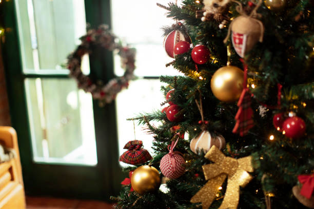 istock One of the nicest trees you will see 1290171772