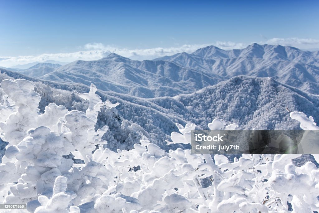 Rime Ice on Mountain Top Deogyusan Korea Majestic Stock Photo