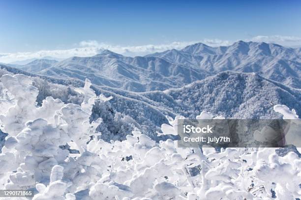 Rime Ice On Mountain Top Stock Photo - Download Image Now - Majestic, Snow, Tree
