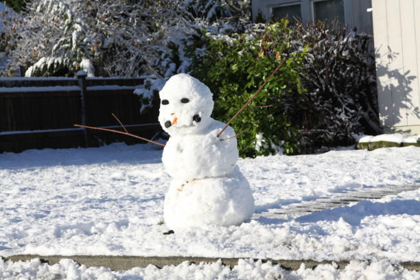 istock Snowman That Is Beginning To Melt 1290172426