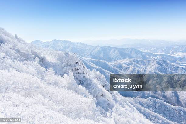Rime Ice On Mountain Top Stock Photo - Download Image Now - Branch - Plant Part, Color Image, Environment