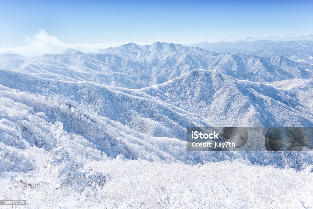 Winter Mountain Deogyusan Korea Branch - Plant Part Stock Photo