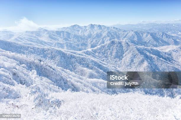 Winter Mountain Stock Photo - Download Image Now - Branch - Plant Part, Color Image, Environment