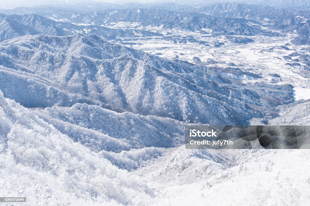 Winter Landscape Deogyusan Korea Branch - Plant Part Stock Photo