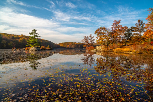 istock Harriman State Park in autumn 1290172727