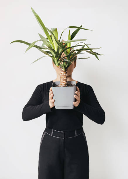 istock Plant pot Photo template in minimal style 1290174545