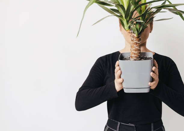 istock Home garden Photo template with copy space 1290174606