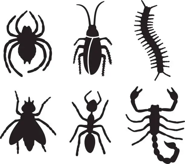Vector illustration of Bug Silhouettes 2