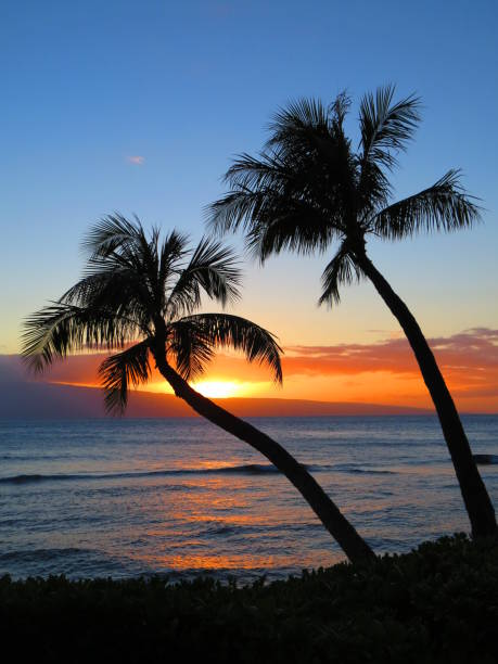 istock Postcard sunset view of Lanai 1290179169
