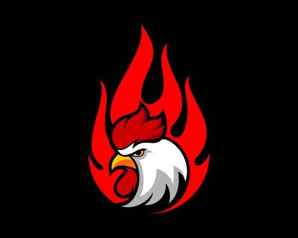 ilustrações de stock, clip art, desenhos animados e ícones de rooster head with fire flame behind - chicken meat food chicken wing