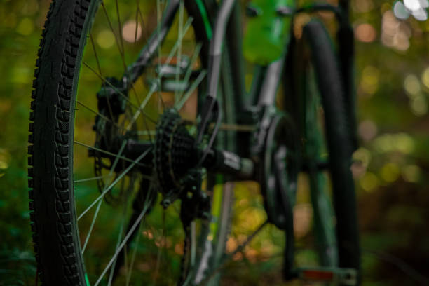 istock soft focus cycle detail wheel and chain foreground object view in outdoor forest environment space 1290184524