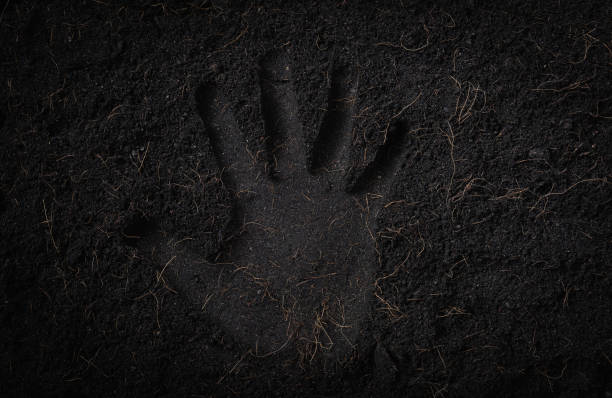istock Hand print in black land for plant background 1290189251