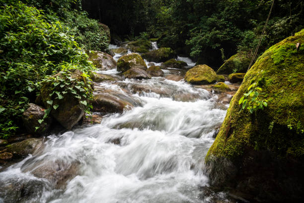 Beautiful green rainforest waterfall landscape in Penedo, RJ, Brazil