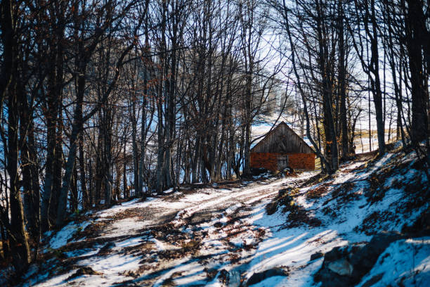 istock Small wooden weekend house in the nature 1290190967