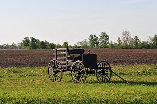 Amish Wagon-Central Indiana