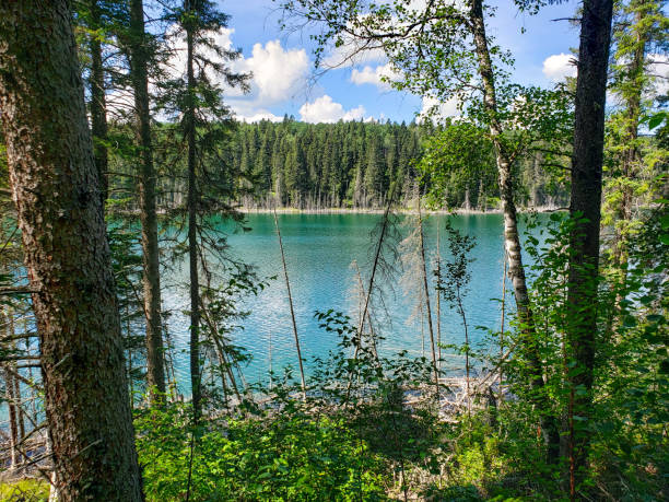 Beautiful view on the Blue Lakes Hiking Trail at Duck Mountain Provincial Park, Manitoba, Canada Beautiful Canadian landscape riding mountain national park stock pictures, royalty-free photos & images