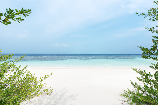 Tropical white sand beach and turquoise sea copy space scene