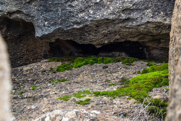 Green moss on large boulders in mountains