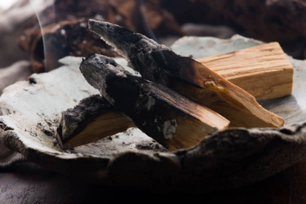 istock Smudging ceremony using Peruvian Palo Santo holy wood incense stick 1290210594