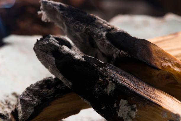 istock Smudging ceremony using Peruvian Palo Santo holy wood incense stick 1290210606
