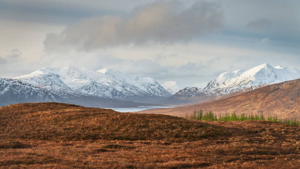 Scottish Highlands Panorama Snowcapped Mountains Loch Loyne in Winter Scotland Scottish Highlands Winter Panorama of snowcapped Scotland Mountains in winter under beautiful skyscape. Loch Loyne in front of the mountain Range. North West Scottish Highlands, Scotland, United Kingdom. fort augustus stock pictures, royalty-free photos & images