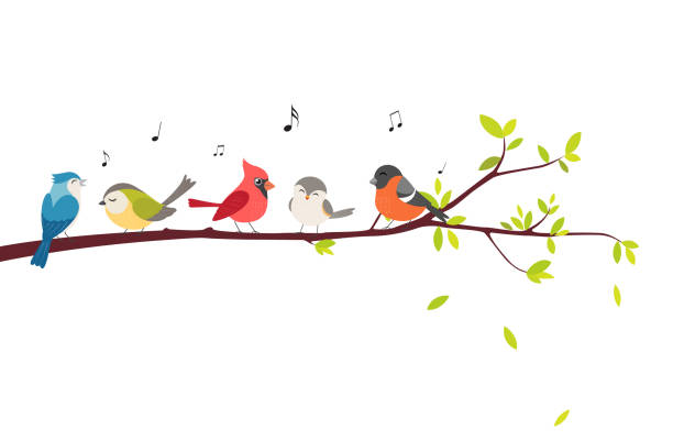 bunte vögel sitzen auf schönen bäumen isoliert auf weißem hintergrund - spring stock-grafiken, -clipart, -cartoons und -symbole