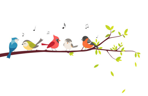 illustrazioni stock, clip art, cartoni animati e icone di tendenza di uccelli colorati seduti su bellissimi alberi isolati su sfondo bianco - bird