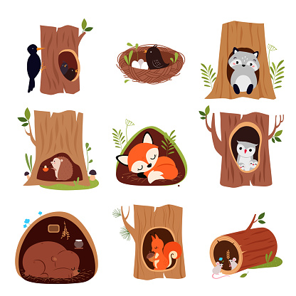 Cute Animals Sitting in Burrows and Tree Hollows Vector Set. Forest Mammals in Their Home and Shelters Resting Concept