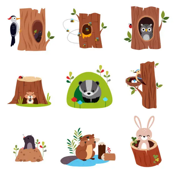Vector illustration of Cute Forest Animals Sitting in Burrows and Tree Hollows Vector Set
