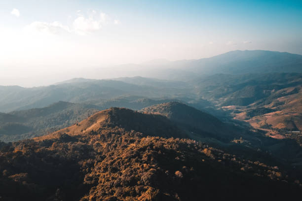 istock Mountains view and pine forests in the evening 1290216234