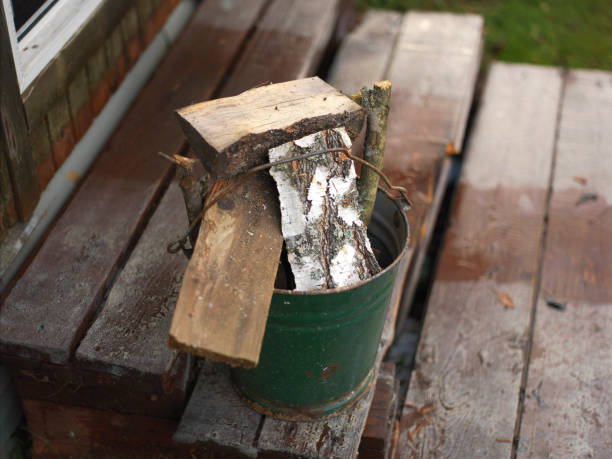 istock Firewood in a bucket 1290216320