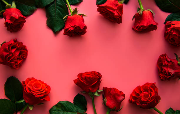 istock Red roses, concept of valentine day 1290218761