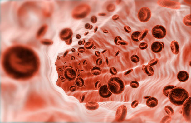 Human red blood cells stream in vein Human red blood cells stream in vein. 3d illustration red blood cell photos stock pictures, royalty-free photos & images