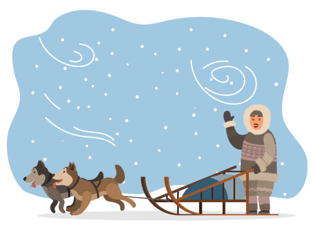 Husky Dogs and Eskimo in Fur Clothes with Sleigh Eskimo wearing fur clothes and sleigh with husky dogs vector. Man hunter character waving hand, snow landscape with puppies and blizzard. Arctic expedition, riding sledge, frozen tundra illustration dogsledding stock illustrations
