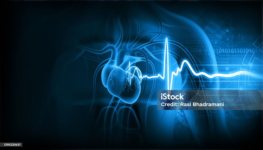 Human heart with ecg graph Human heart with ecg graph. 3d illustration Electrocardiography Stock Photo