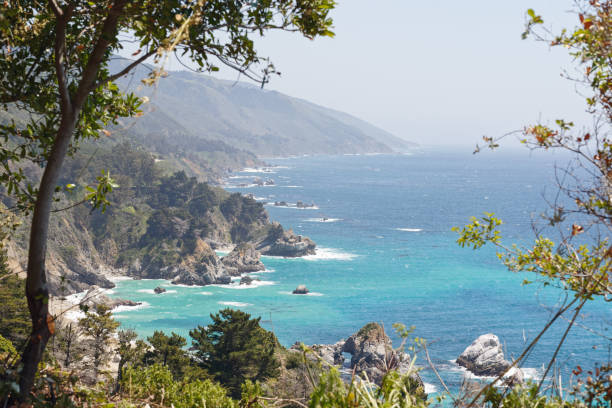 big sur, condado de monterey, califórnia. oceano pacífico, falésias e plantas nativas na praia. - route 1 pacific ocean beach cliff - fotografias e filmes do acervo